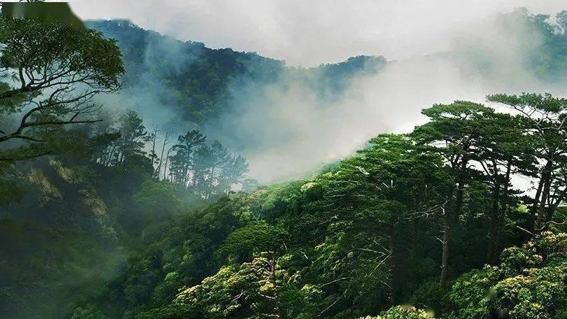 “富不添丁，穷不添女”是什么意思？为何会这样子说？游戏画面