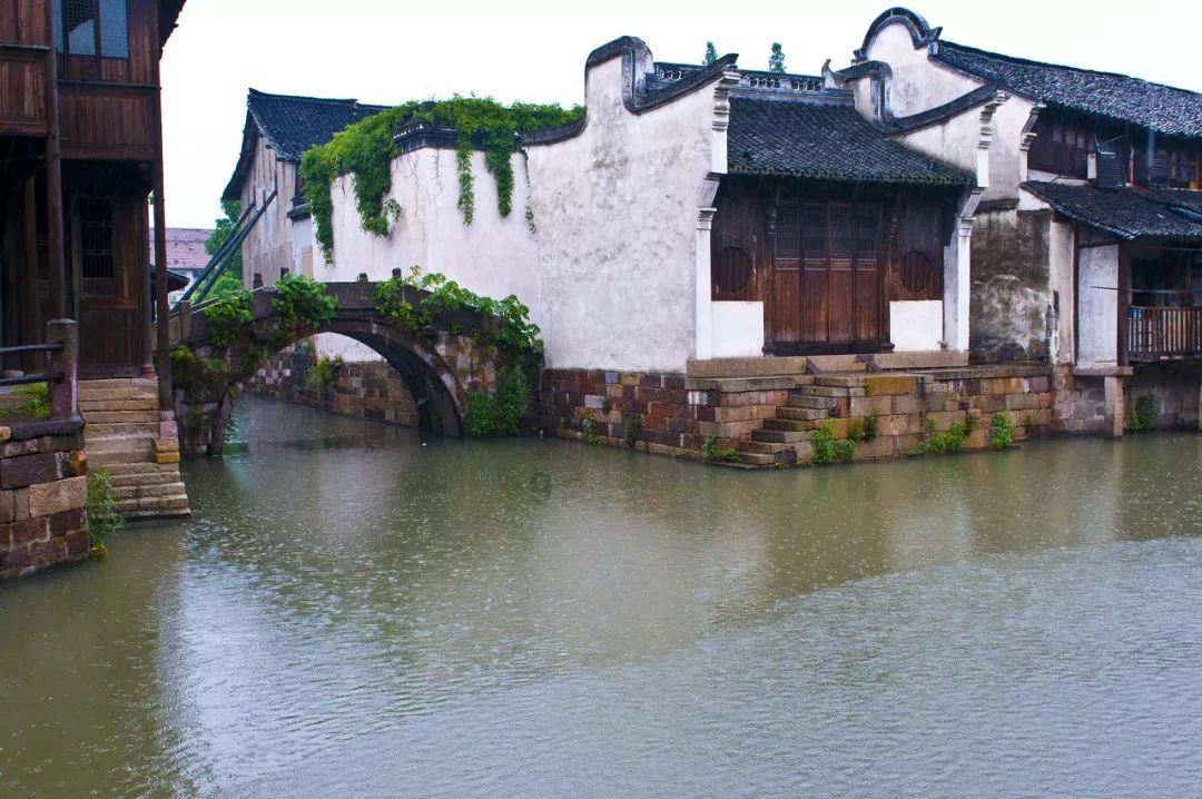 南美大豆进入收获季 出口市场竞争火热